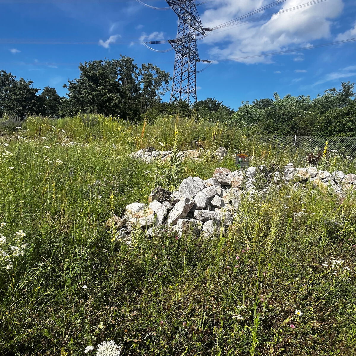 naturschutzfachliche-Ausgleichsflaeche